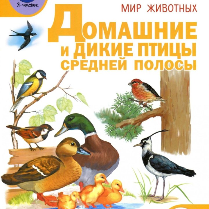 Тематический словарь в картинках, 4 книги