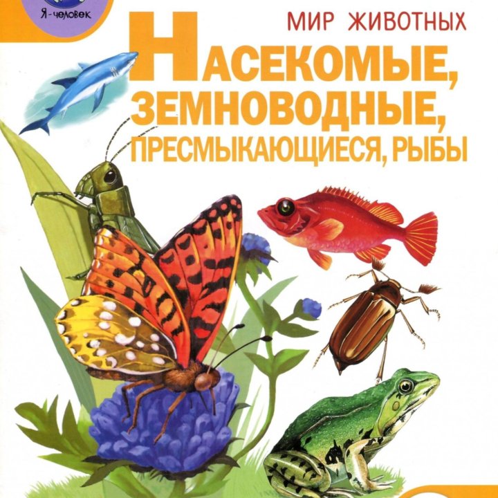 Тематический словарь в картинках, 4 книги