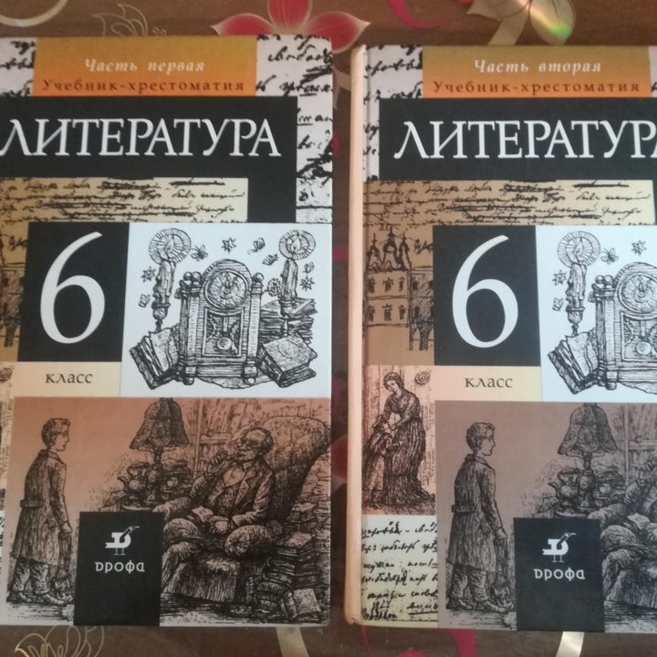 Учебник по литературе 6 класс