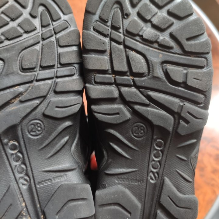 Сандали экко