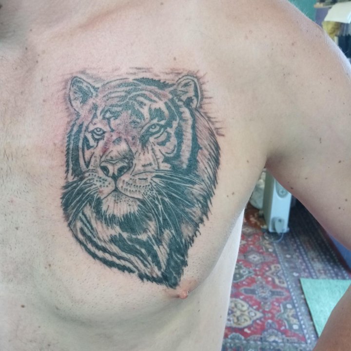 Тату Tattoo Татуировка