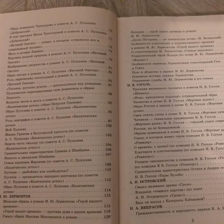 Сочинения по литературе 19 века