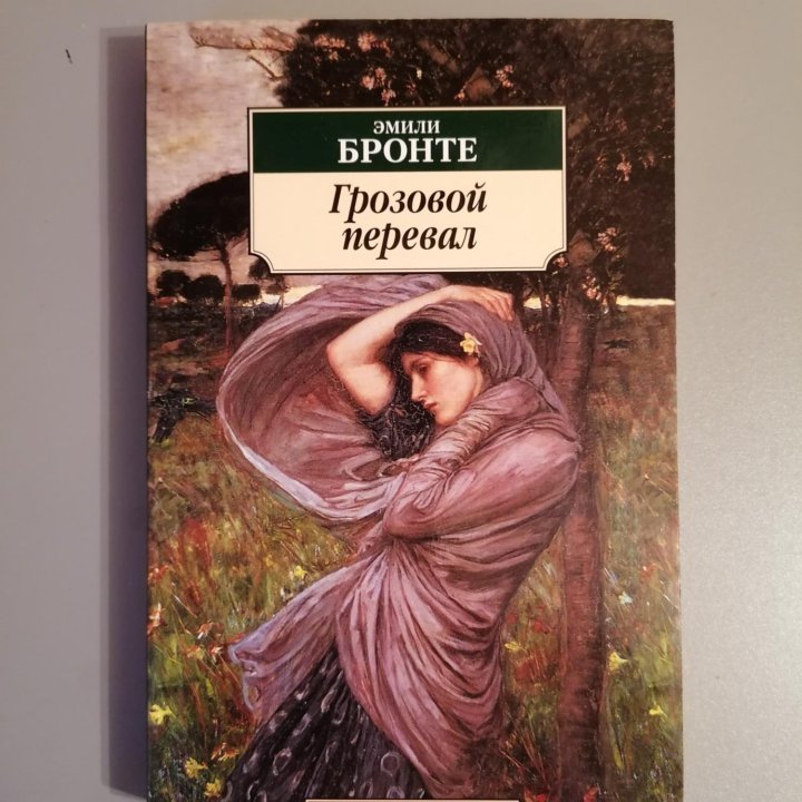 Книга Эмили Бронте 