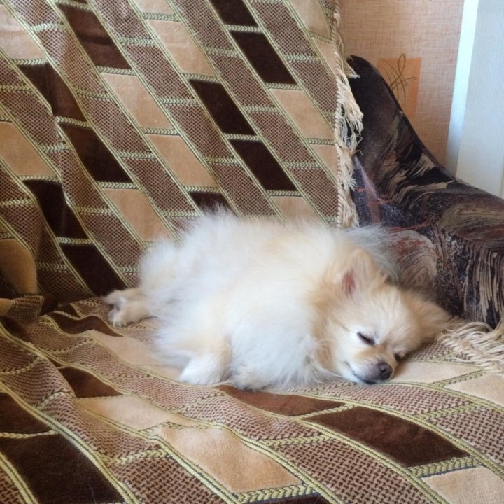 Эл..паяльник!!!