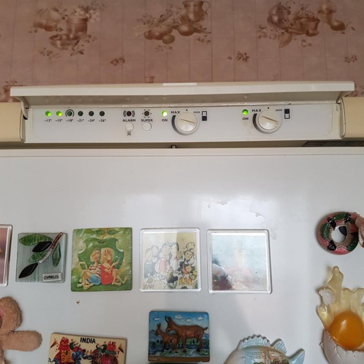 Ремонт холодильника на дому Ашукино в Ашукино