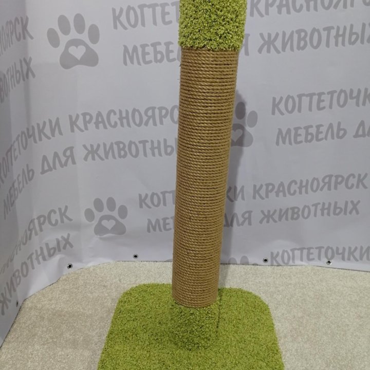 Когтеточка