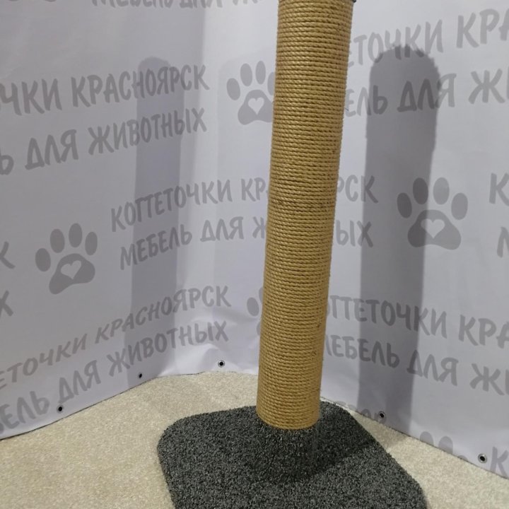 Когтеточка