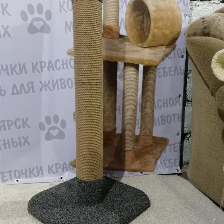 Когтеточка