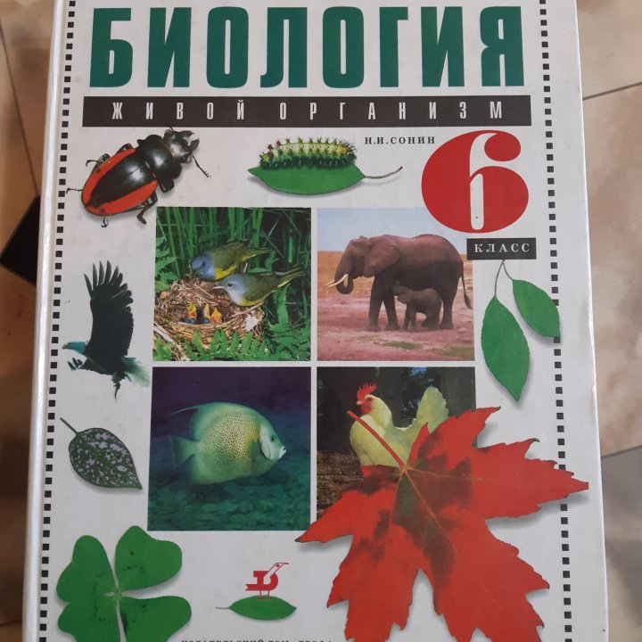 Биология 6 класс