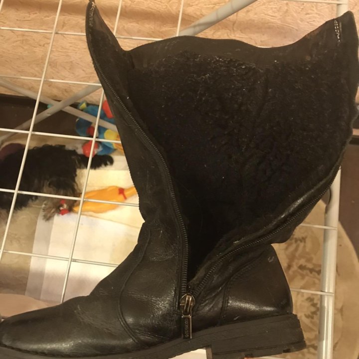 Зимние сапоги