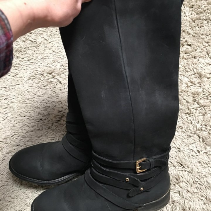 Сапоги Steve Madden