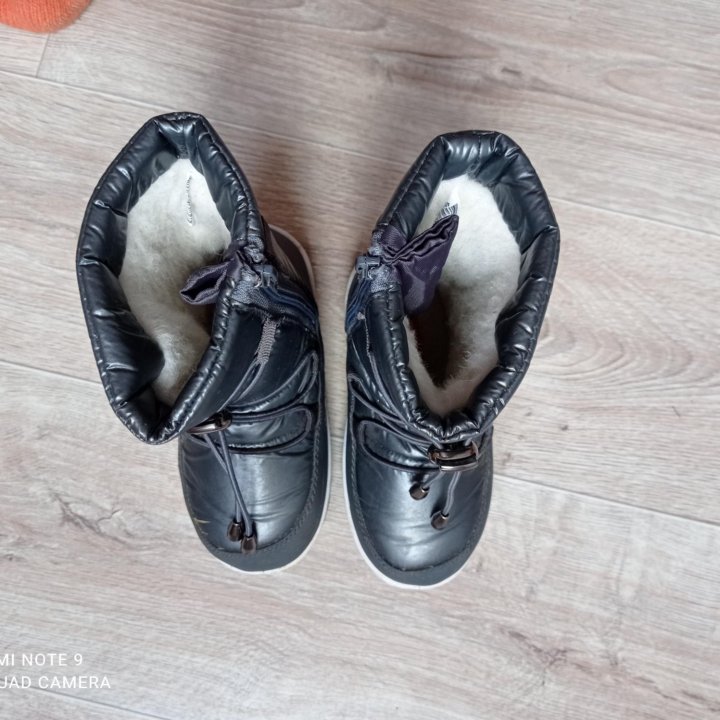 Дутики Пухта