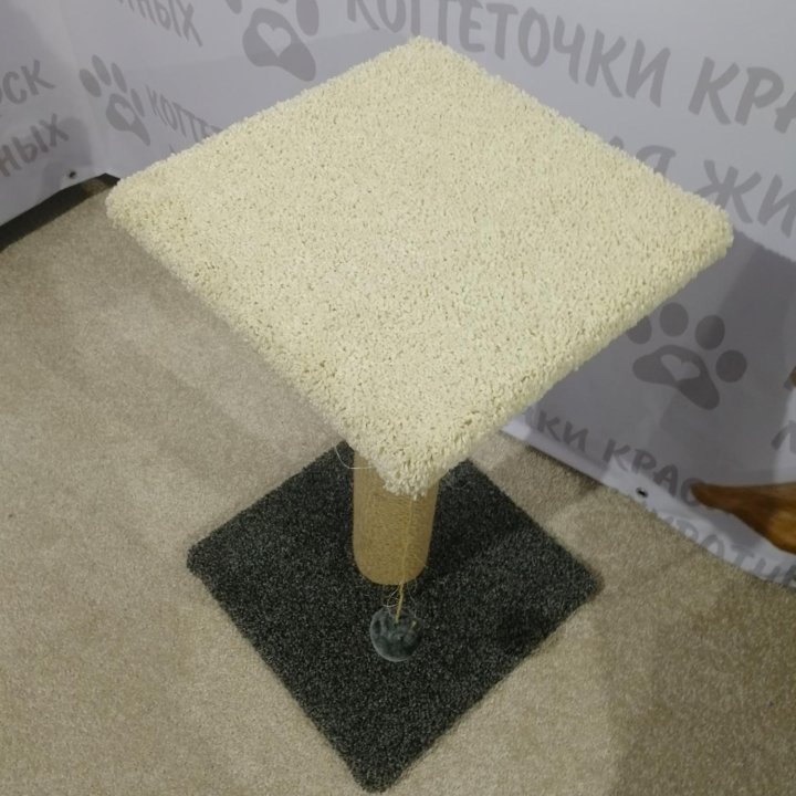 Когтеточка