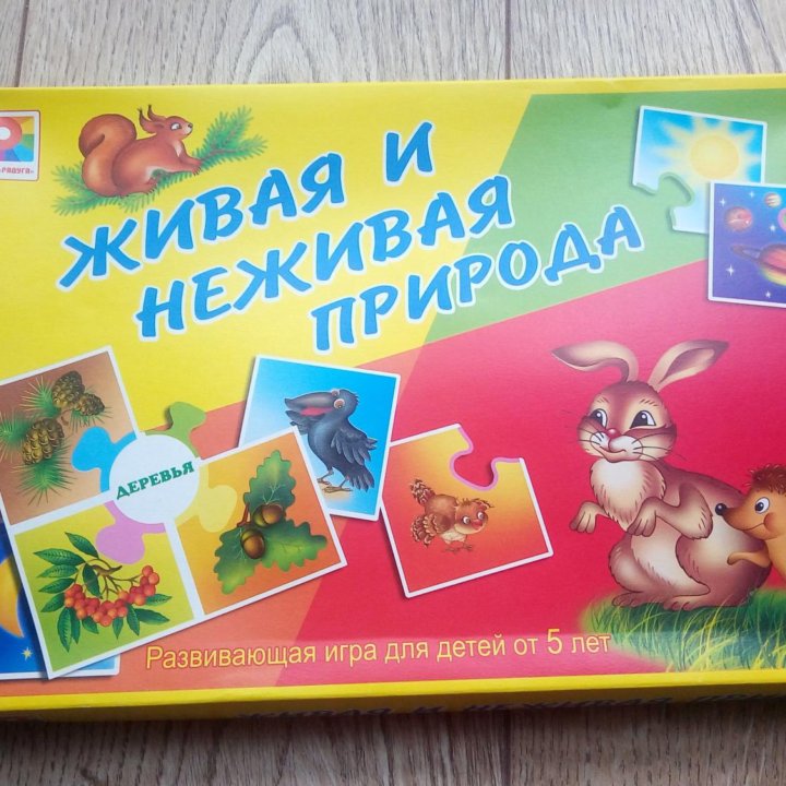 Настольная игра