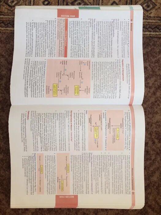 Textbook medical biochemistry 7th MN Chatterjea