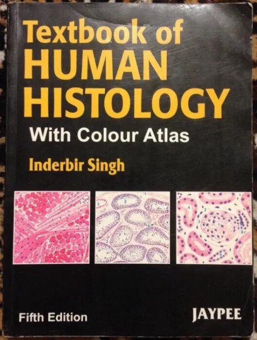 Human histology. Color atlas 5th