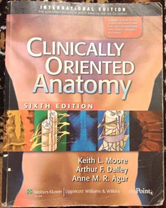 Clinical oriented anatomy 6th Keith L. Moore