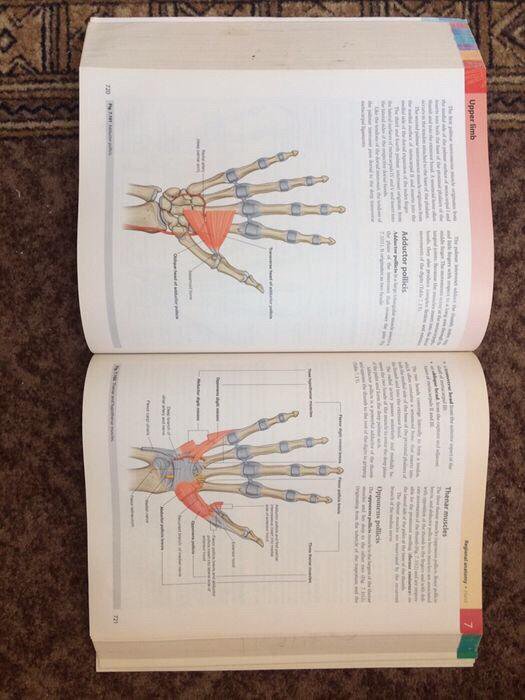 GRAY'S Anatomy for students Richard L. Drake