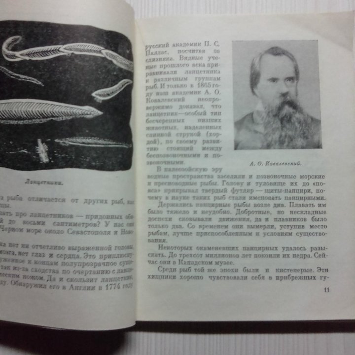 А.Загорянский. Тайны подводного мира. 1966 год.