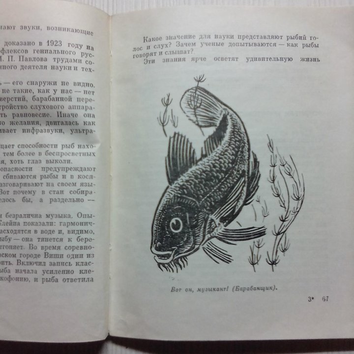 А.Загорянский. Тайны подводного мира. 1966 год.