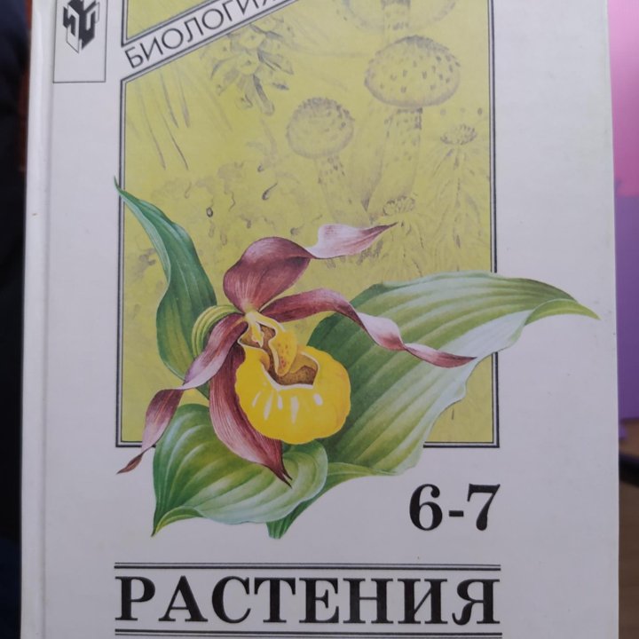 Растения