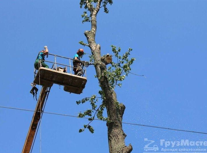 Грузоперевозки, переезды, вывоз мусора.