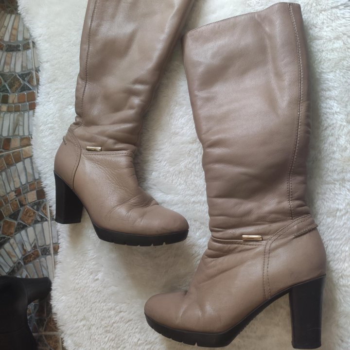 Сапоги BerKonty