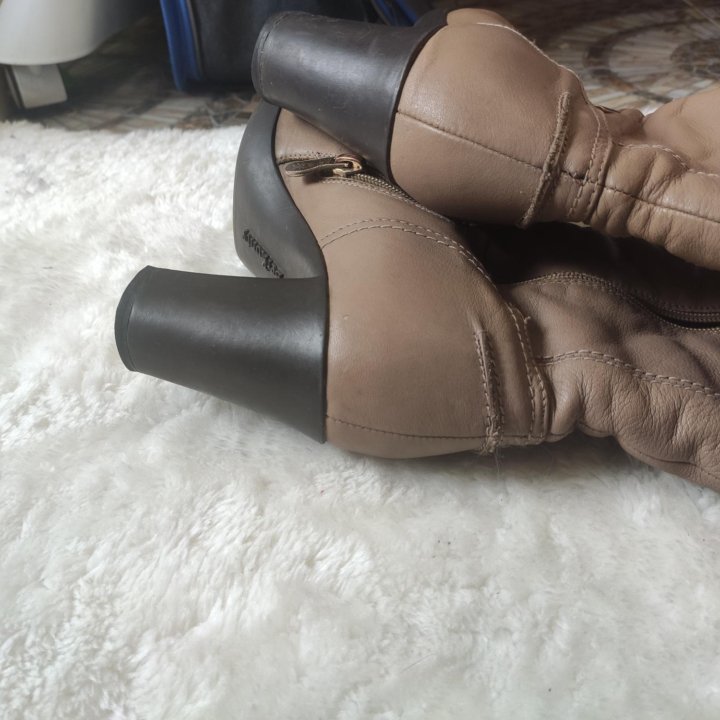 Сапоги BerKonty