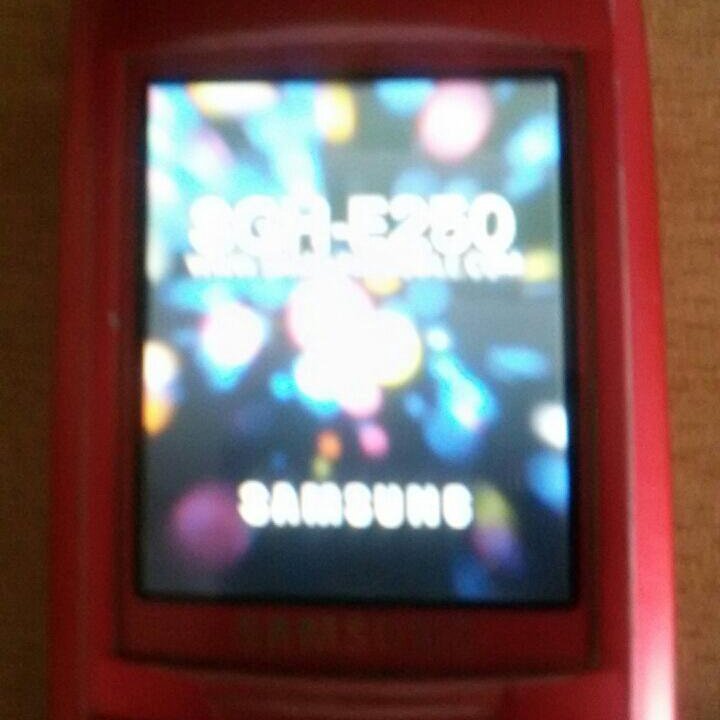 Samsung E 250