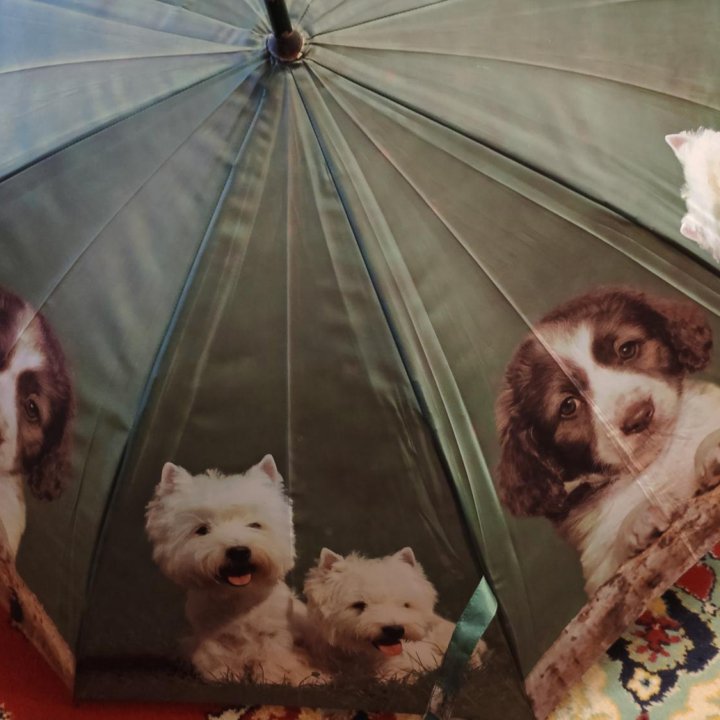 Зонт трость