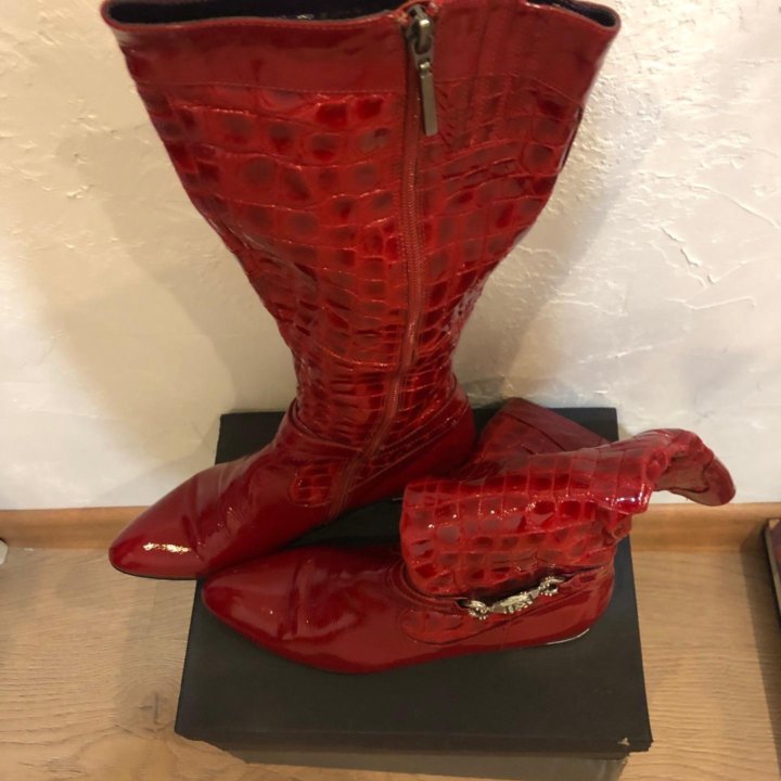 Сапоги демисезонные