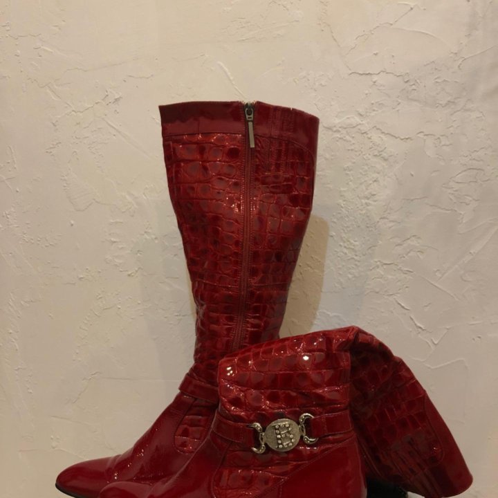 Сапоги демисезонные