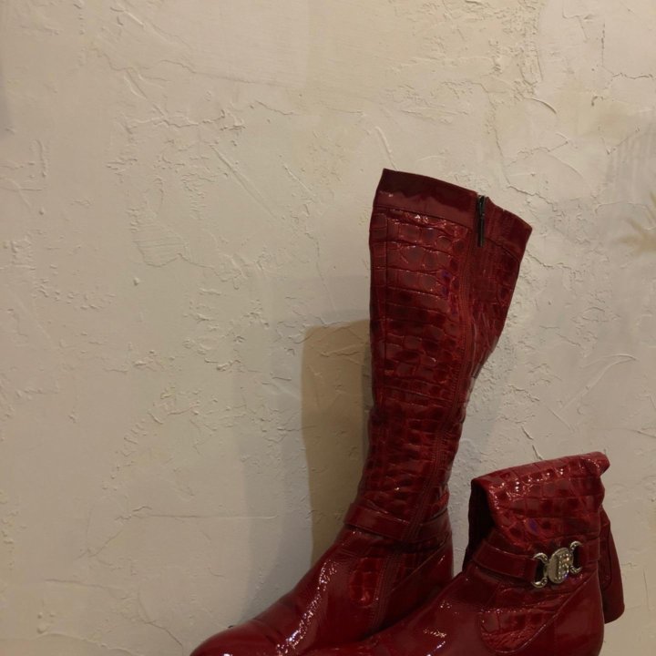 Сапоги демисезонные