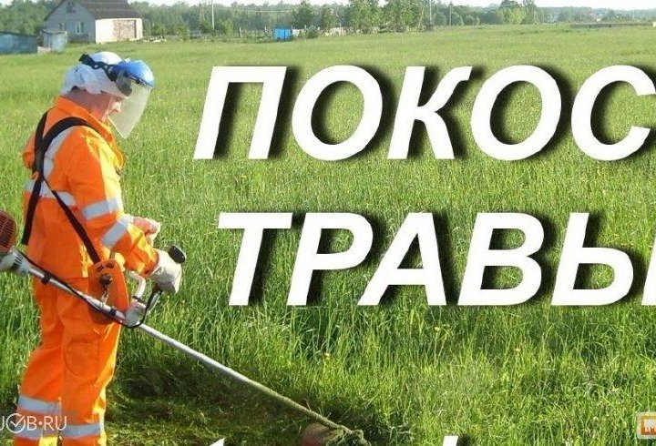 Покос травы