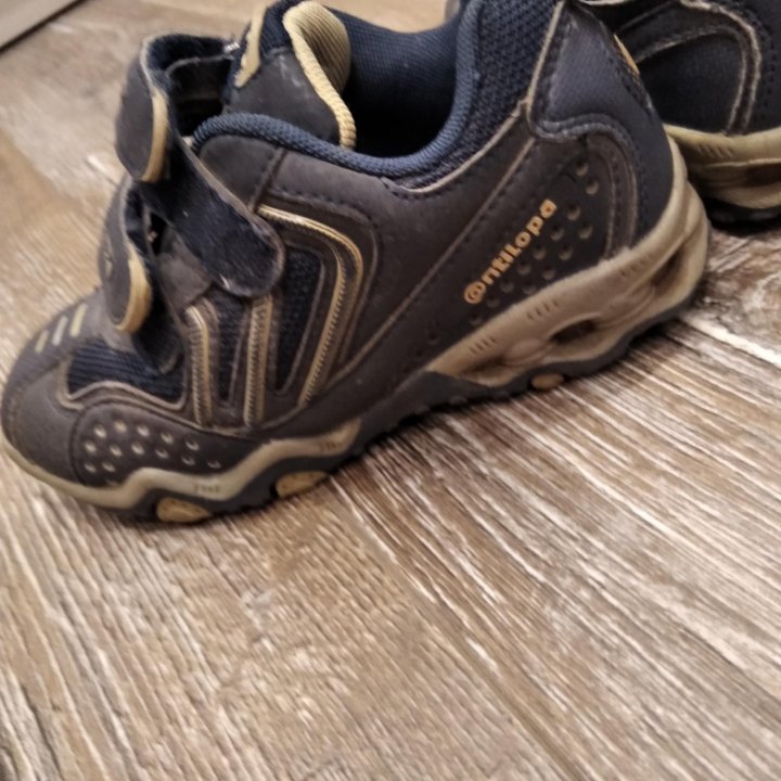 Кроссовки antilopa