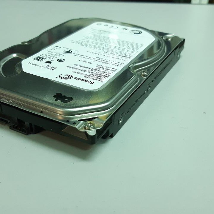 SATA 6Gbit/s HDD 250Gb Seagate ST3250312AS