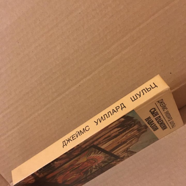 Сын племени навахов