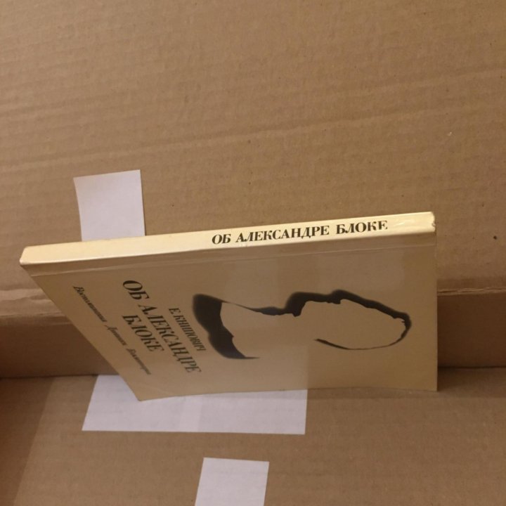 Книпович Е. Об Александре Блоке