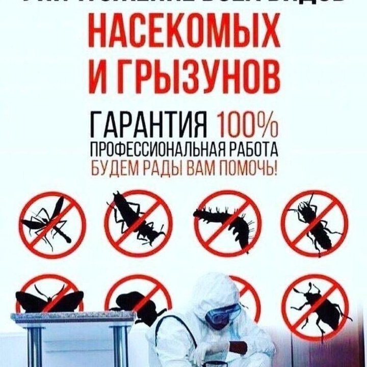 Дезинфекция, уничтожение насекомых и грызунов.