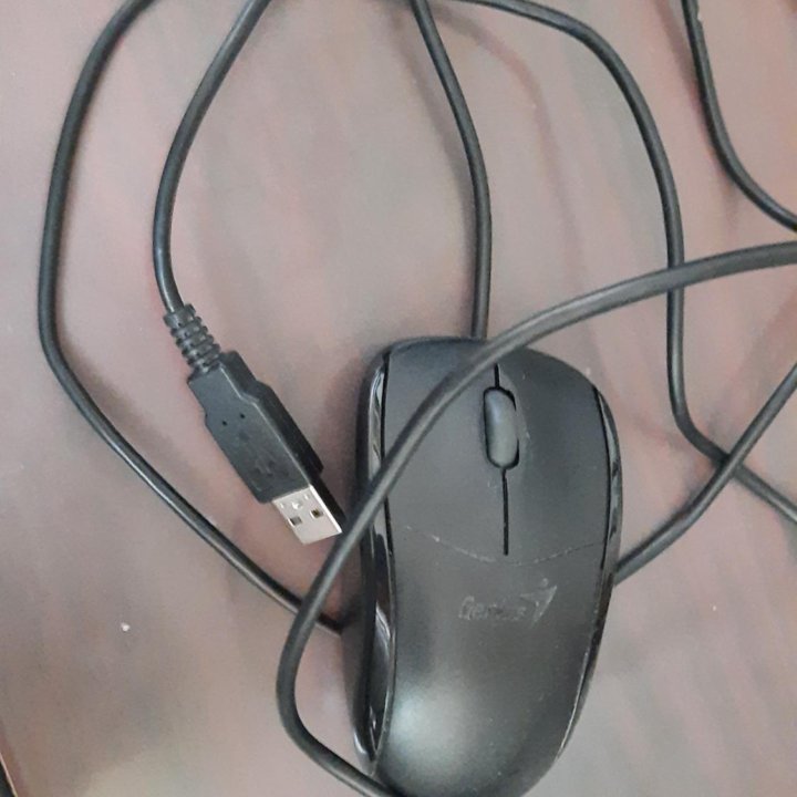 Мышь компьютерная Genius