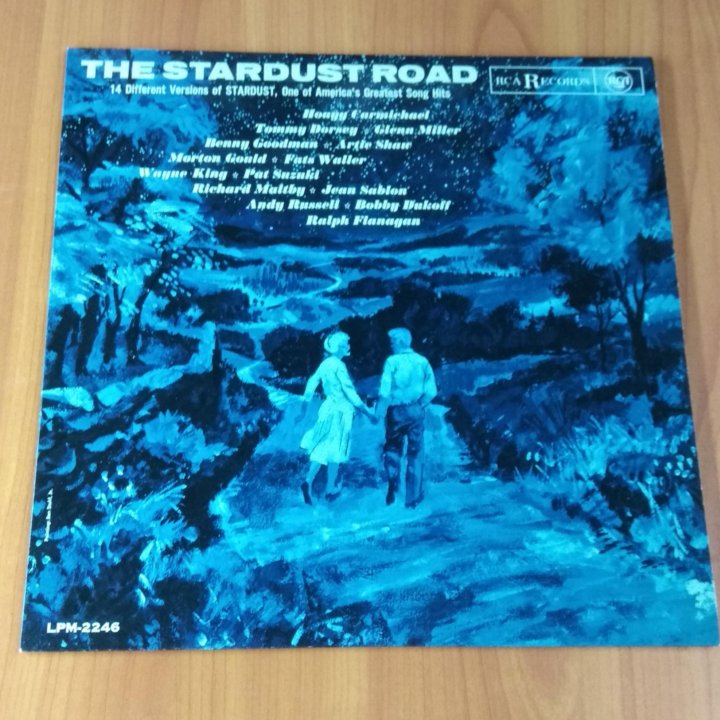 Виниловая пластинка The stardust road.