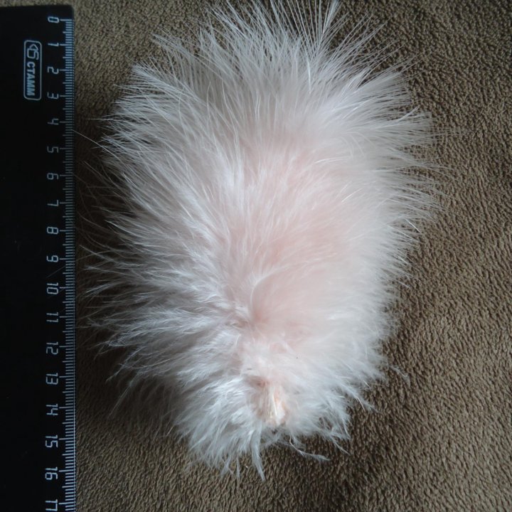 Брошь из перьев