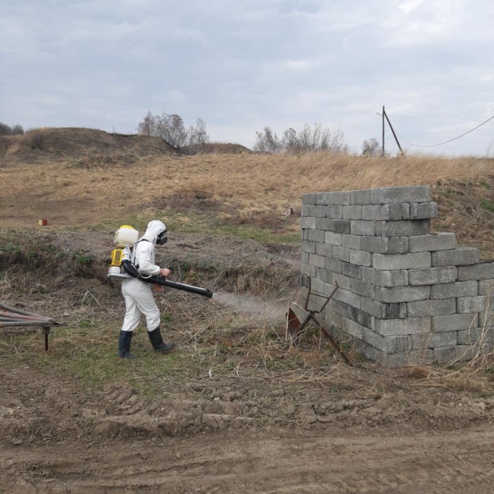 Обработка от насекомых.Тараканов, Клещей, клопов