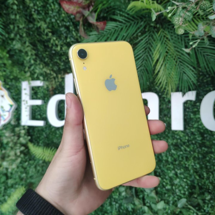 iPhone XR