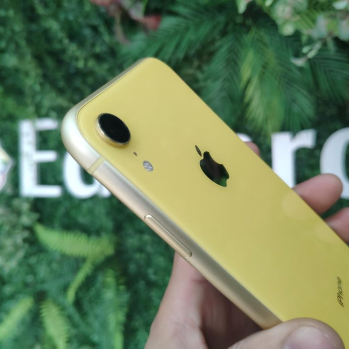 iPhone XR