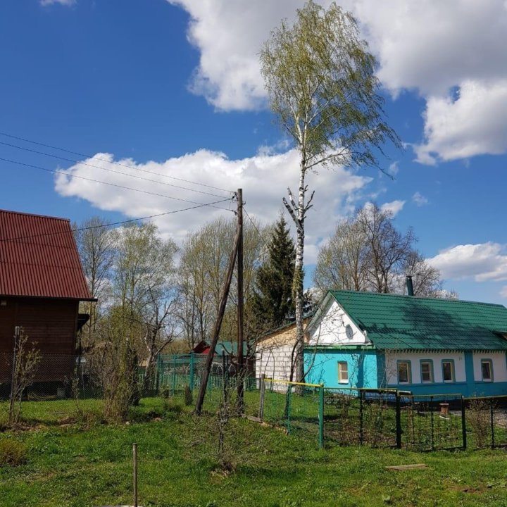 Арбористы. Пилим деревья.