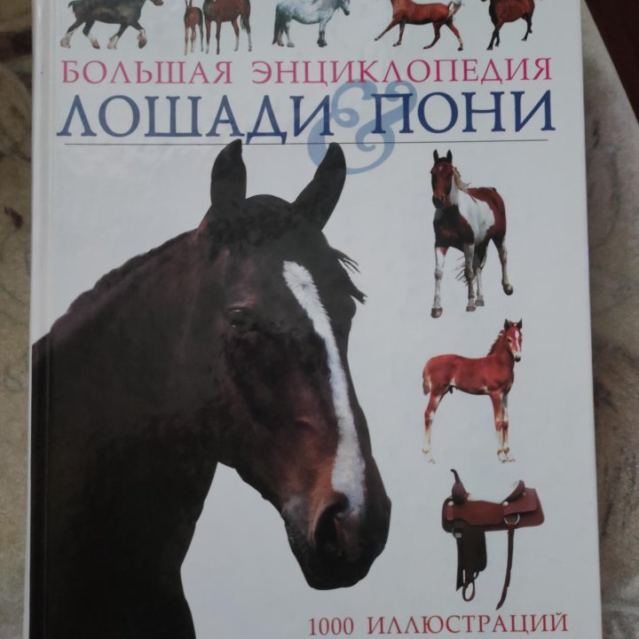 Большая энциклопедия лошади и пони. Тэмсин Пикрел