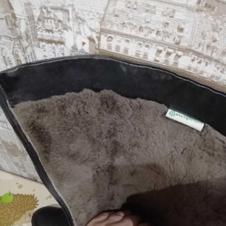 Сапоги зима