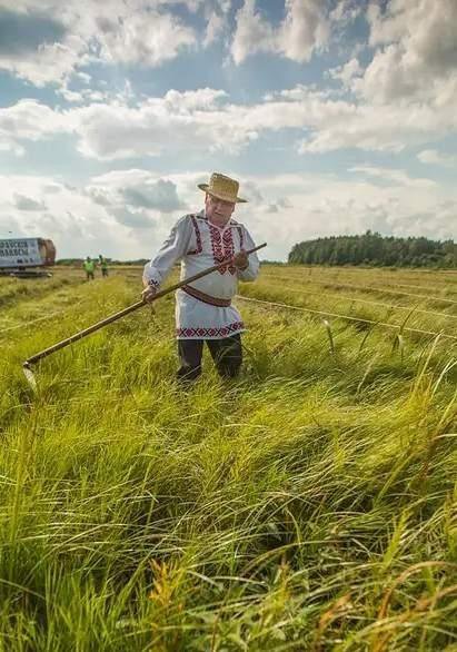 Покос травы