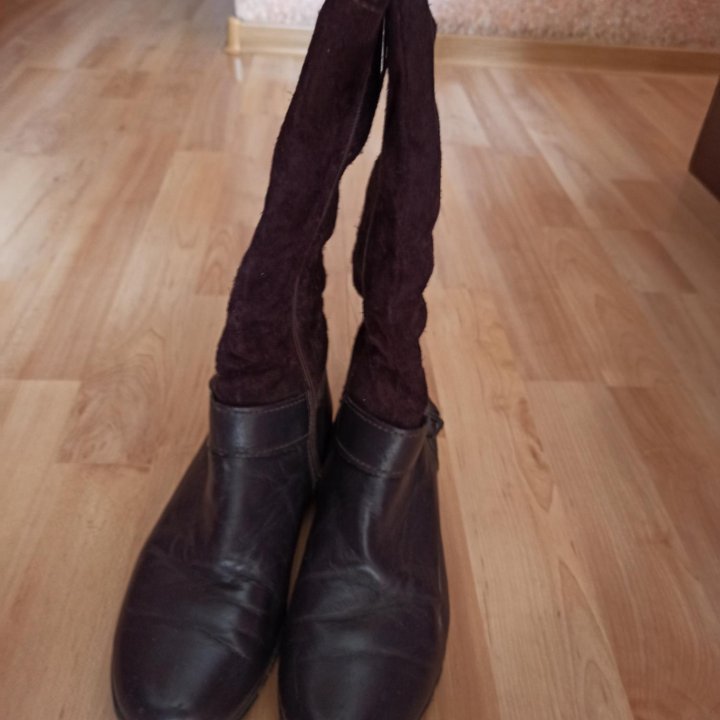 Сапоги осенние